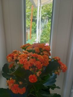 Zöld Küllő Pezsgőfürdős Vendégház21