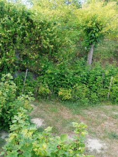 Zöld Küllő Pezsgőfürdős Vendégház6