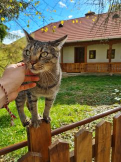 Füstös Vendégház28