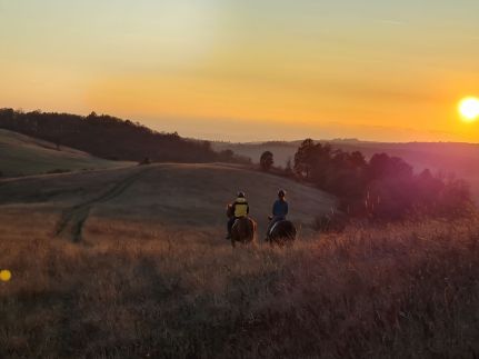 Füstös Vendégház29