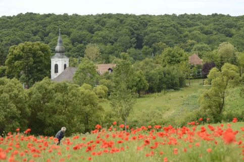Füstös Vendégház47
