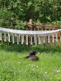 Füstös Vendégház11