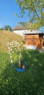 Oscar Apartman30