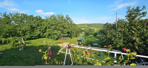 Oscar Apartman31