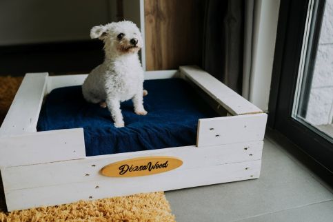 Dézsawood Apartman21