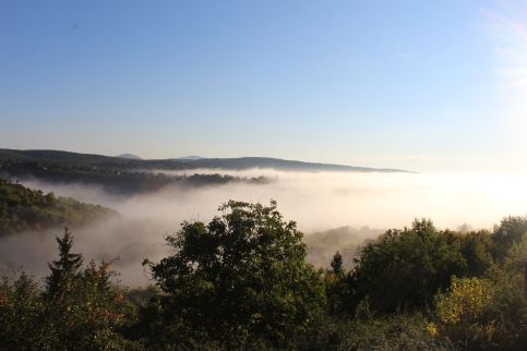 Dézsawood Apartman23