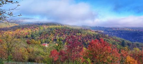 Dézsawood Apartman24