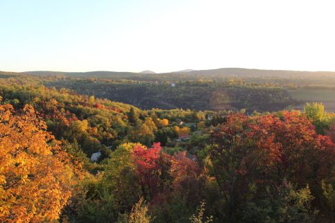 Dézsawood Apartman25