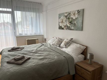 Balzsomga Apartman6