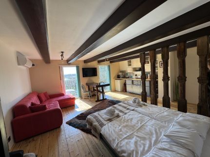 Rigószáj Apartman6