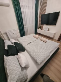 Belvárosi Green Deluxe Apartman Pécs12