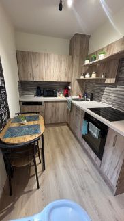 Belvárosi Green Deluxe Apartman Pécs3