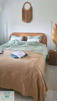 Világos Kert Oliva1