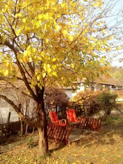 Napsugár Vendégház46