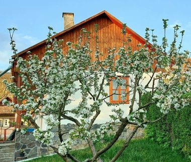 Napsugár Vendégház47