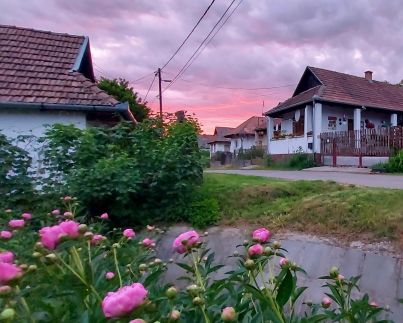 Napsugár Vendégház50