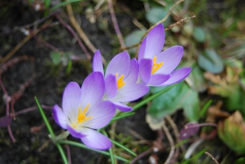 Napsugár Vendégház59