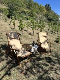 Fenn a Hegyen Vendégház Somló13