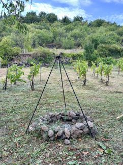 Fenn a Hegyen Vendégház Somló14