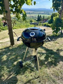 Fenn a Hegyen Vendégház Somló15