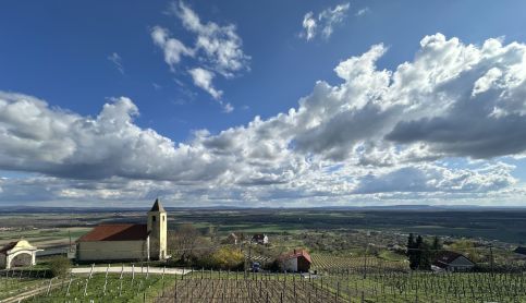 Fenn a Hegyen Vendégház Somló18
