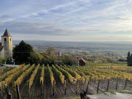 Fenn a Hegyen Vendégház Somló19