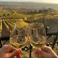 Fenn a Hegyen Vendégház Somló