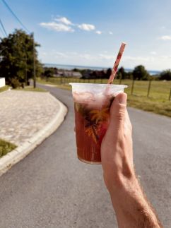 Villa Atlas – Gyenesdiás fotó 12
