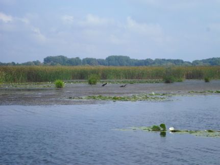 Turul Vendégház27