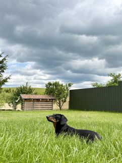 Három Piszke Vendégház15