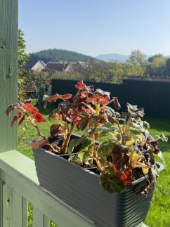 Három Piszke Vendégház3