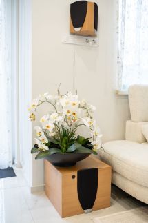 Allure Luxury Home26