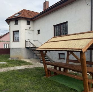 Hipster Vom Malida Kennel & Vendégház4