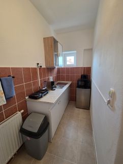 Hipster Vom Malida Kennel & Vendégház2