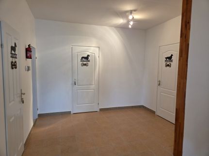 Hipster Vom Malida Kennel & Vendégház3