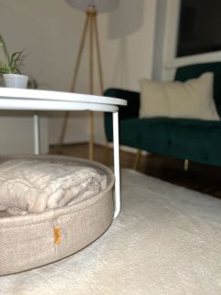 Szegedissimo Apartman16