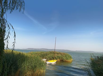 Mónika Magánszálláshely6