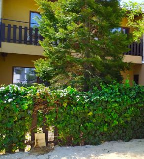 Mónika Magánszálláshely