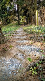 Gesztenyés Backpackers12