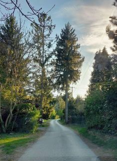 Gesztenyés Backpackers14