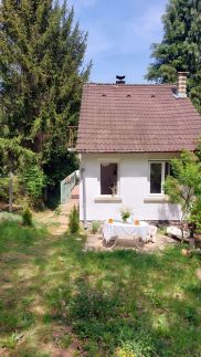 Gesztenyés Backpackers8
