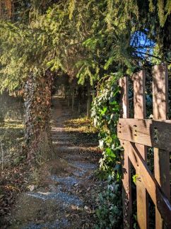 Gesztenyés Backpackers4