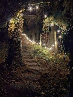 Gesztenyés Backpackers5