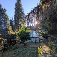 Gesztenyés Backpackers