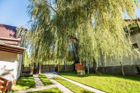 Zselici Csillagvirág Vendégház3