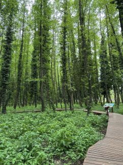 Nyugalom Apartman13