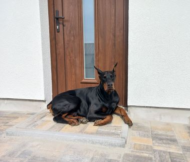 Bakony Völgye Vendégház7