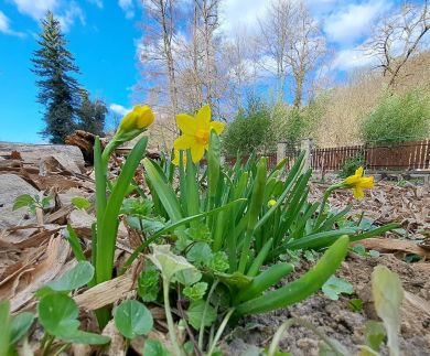 Visegrádi Kincseskert10