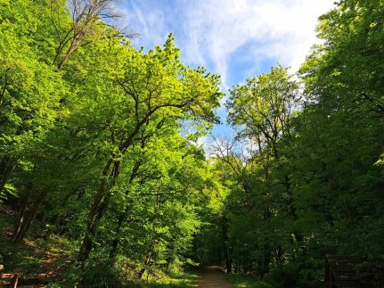 Visegrádi Kincseskert15