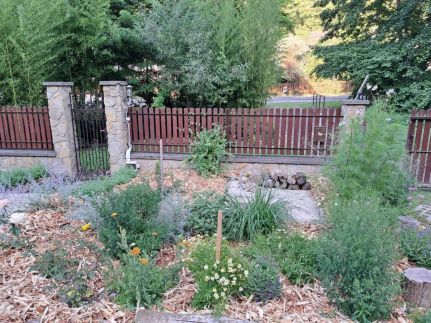 Visegrádi Kincseskert3